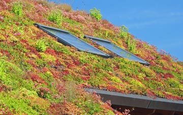 Hulme End living roof systems